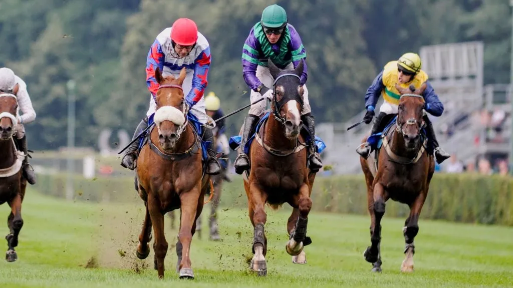 III. kvalifikace na Velkou pardubickou