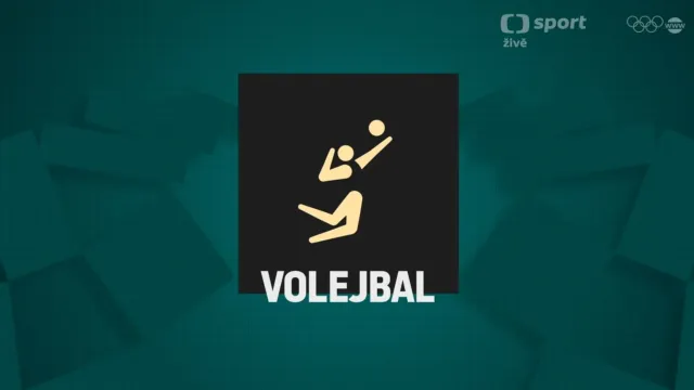 Záznam utkání volejbalistů USA - Francie