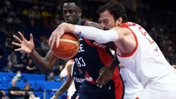 Sestřih utkání Turecko - Francie