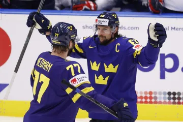 Švédové se radují z gólu v zápase s Francií