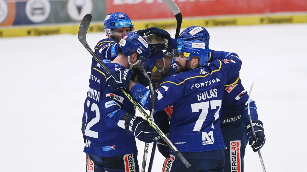 Hokejisté Českých Budějovic