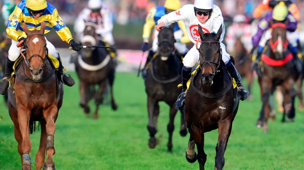 Vítěz Jan Faltejsek s klisnou Orphee des Blins (vpravo) v cílové rovince