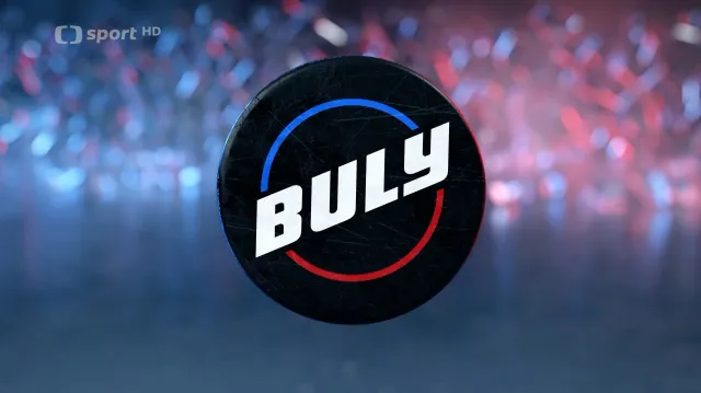 Buly – souhrn 16. kola