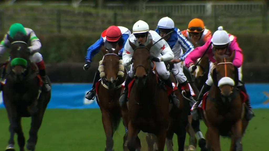 Cena Nadace pro rozvoj města Pardubic