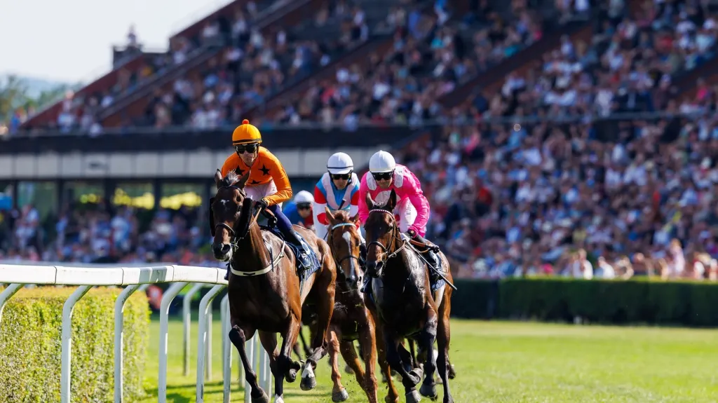 Dostihy v Chuchle Arena Praha