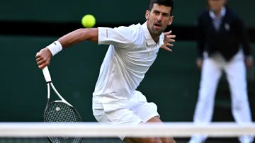 Djokovič vyhrál na wimbledonské trávě 33. zápas v řadě