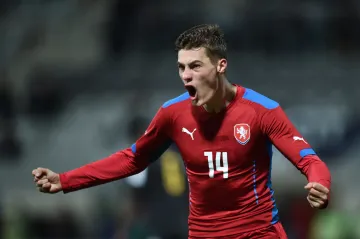 Radost Patrika Schicka