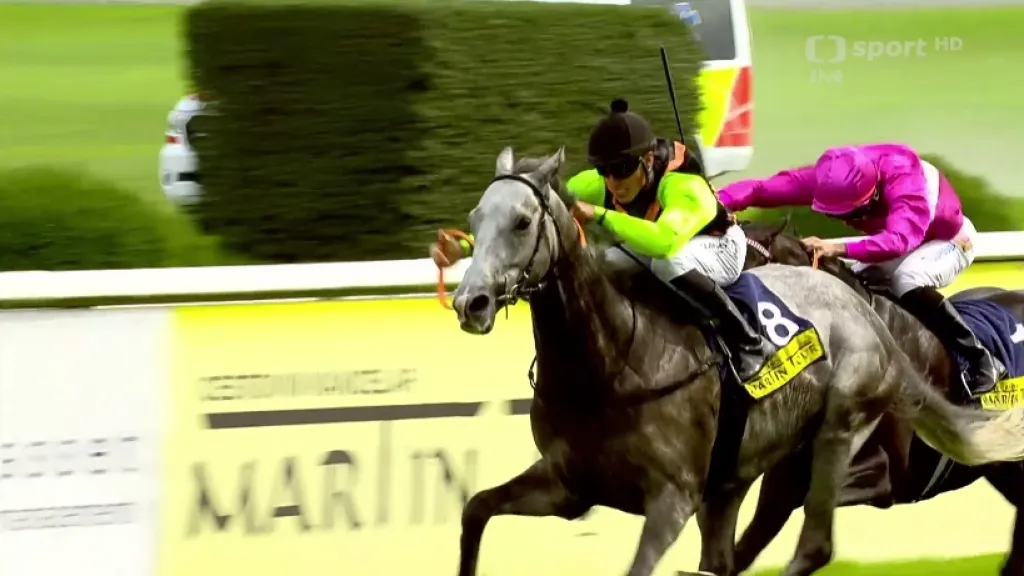 Sestřih 45. Velké ceny Prahy