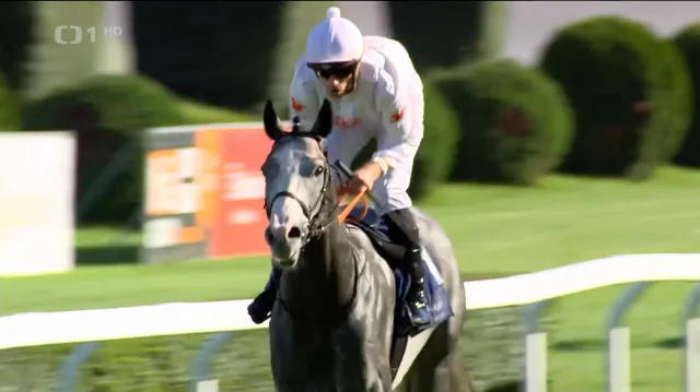 Poslední klasický dostih sezony ovládl Foret s Polyanem