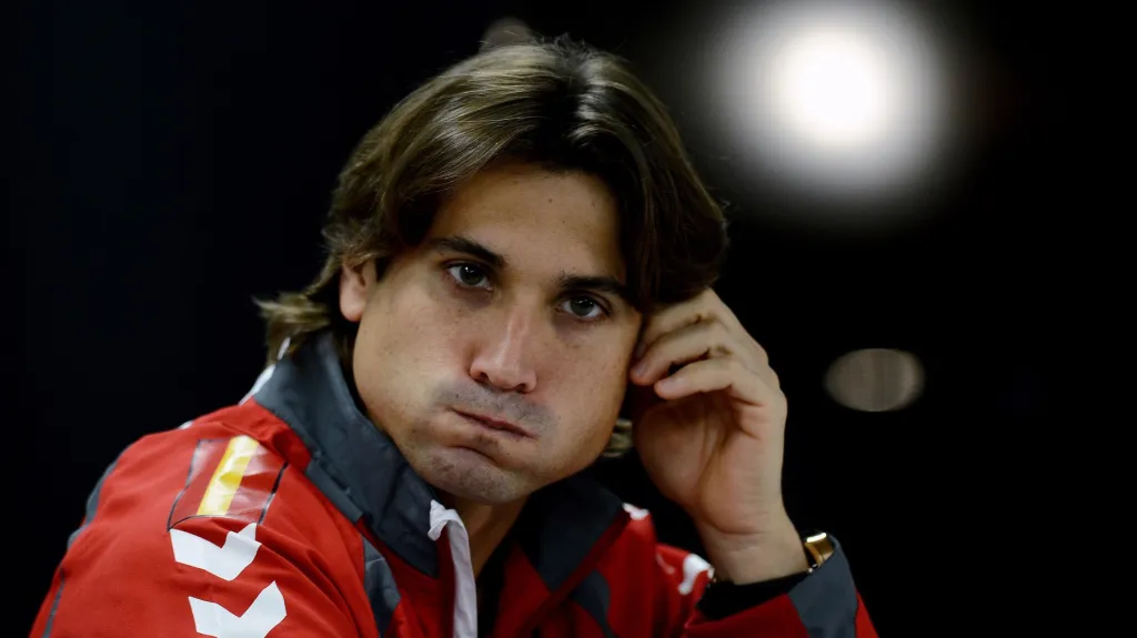 David Ferrer