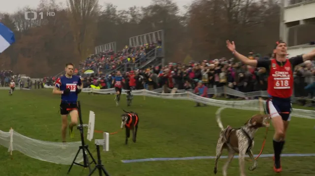 Čechům se na MS v mushingu dařilo