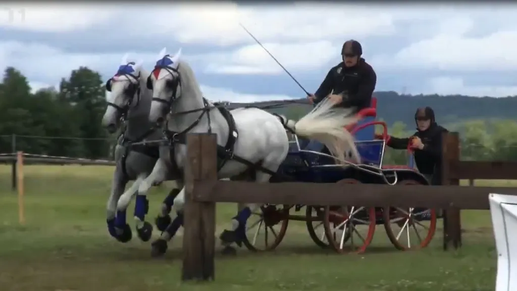Češi v Nebanicích nezvítězili, Martin Gössl skončil druhý