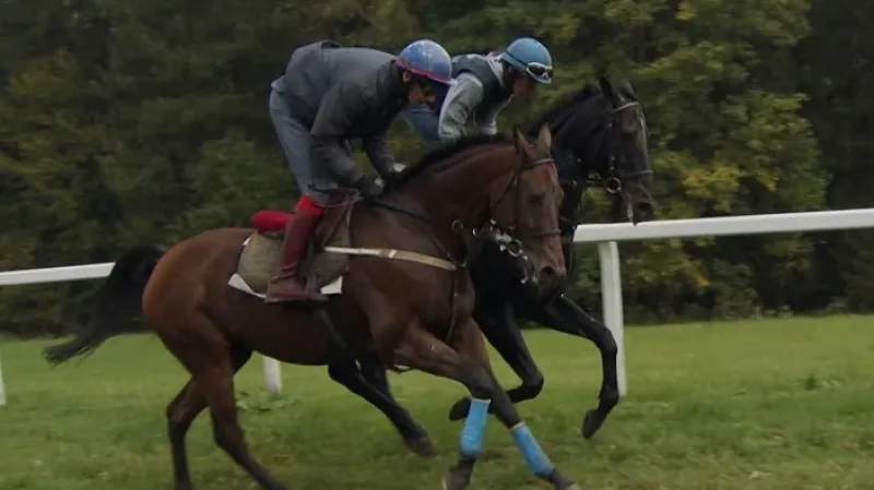 Hegnus může napodobit Železníka