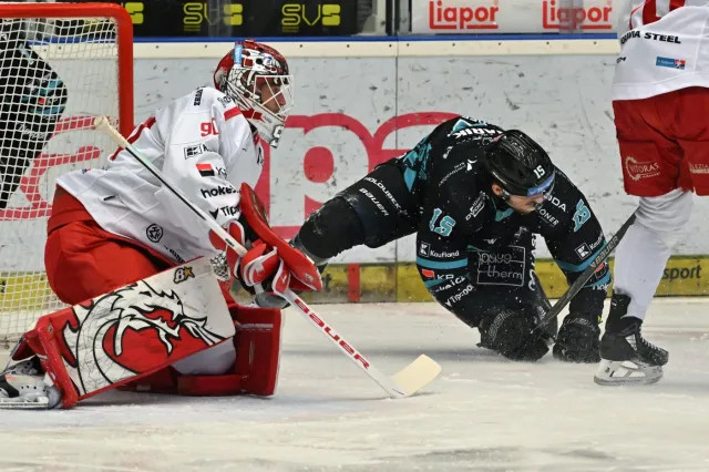Karlovy Vary hrají doma s Třincem, Oceláře dělí od finále jediná výhra
