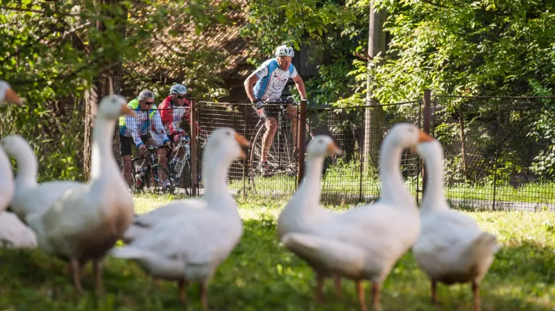 Josef Zimovčák v čele pelotonu během cyklotour Na kole dětem