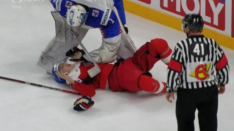 Moment v utkání Česko - Slovensko: Zranění Nečase po nárazu do mantinelu