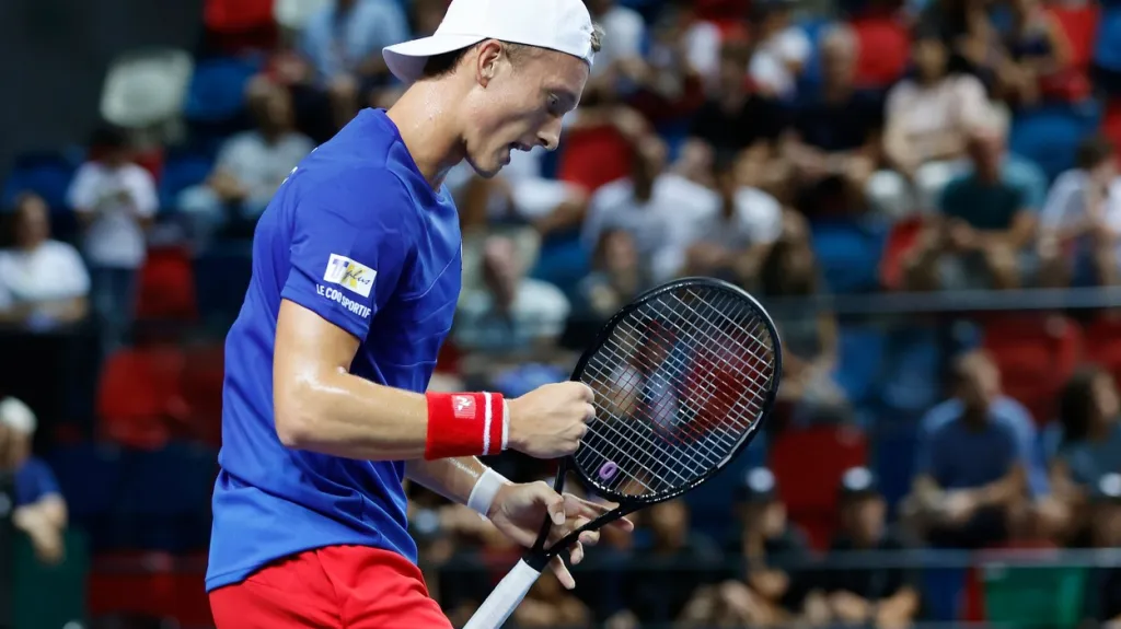 Jiří Lehečka v Davis Cupu