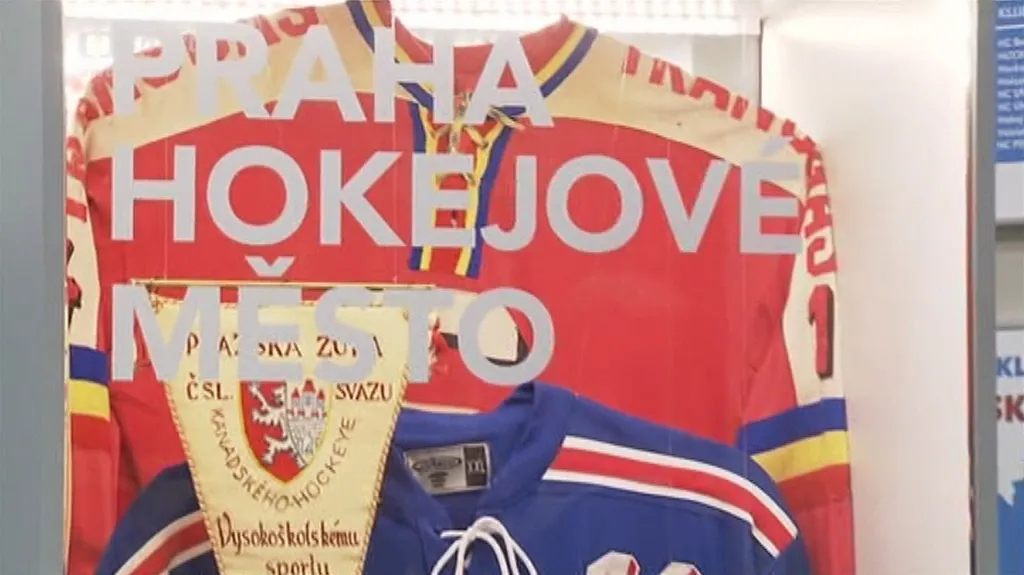 Výstava Praha, hokejové město