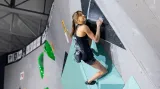Annie Sandersová