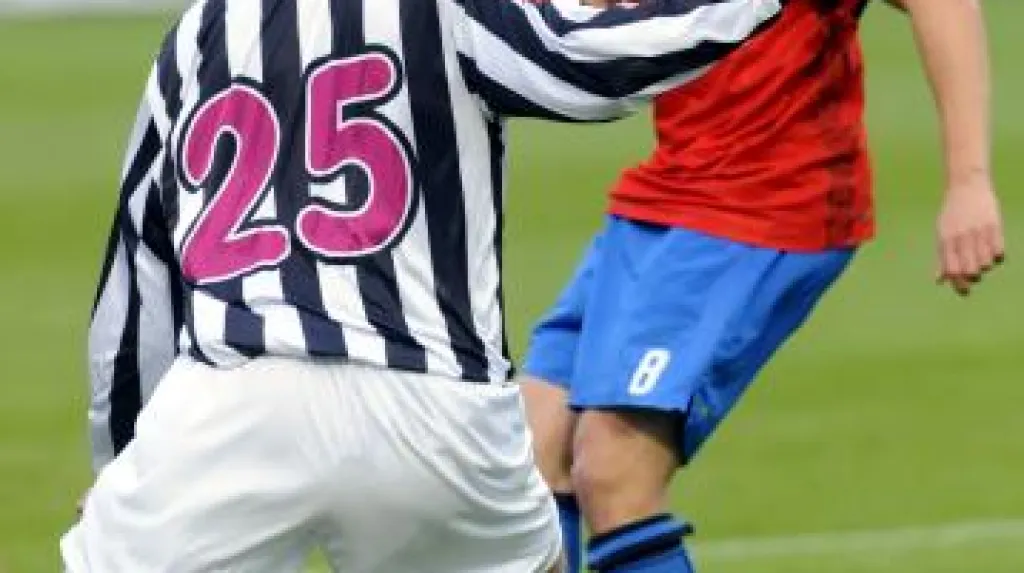 Utkání Viktoria Plzeň - Dynamo České Budějovice