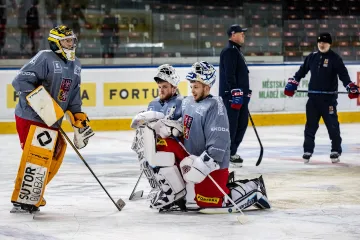 Čeští hokejoví brankáři