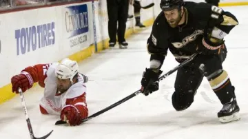 Utkání Anaheim - Detroit