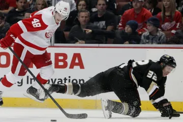 Utkání Detroit - Anaheim