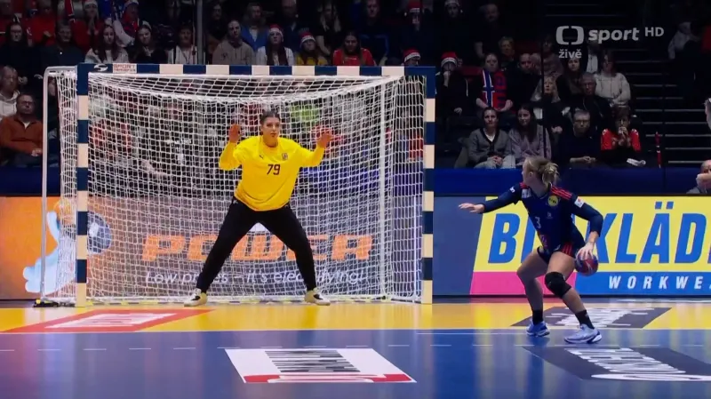 Sestřih utkání Francie – Česko