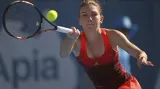 Angelique Kerberová - Simona Halepová