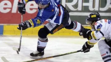 Vítkovice Steel - Bílí Tygři Liberec