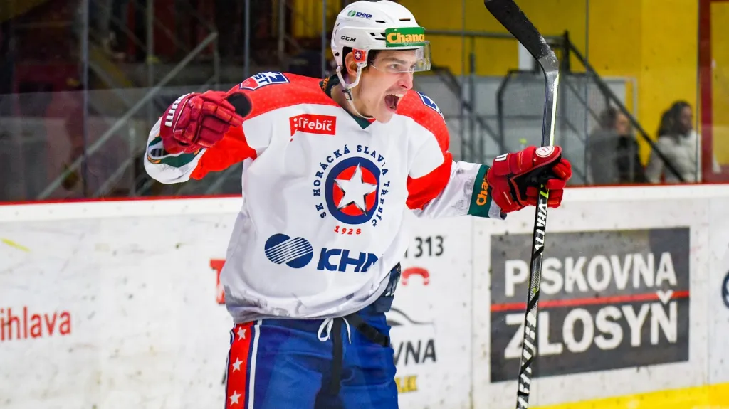 Hokejista Třebíče