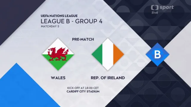Sestřih utkání Wales - Irsko