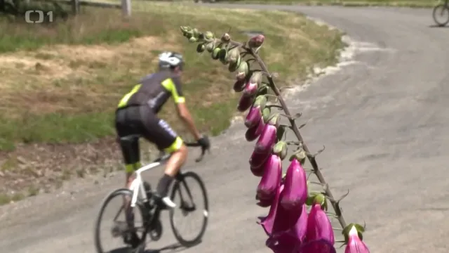 Fejeton Jana Šmída: Zrádná Planina krásných dívek