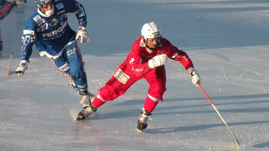 Bandy hokej