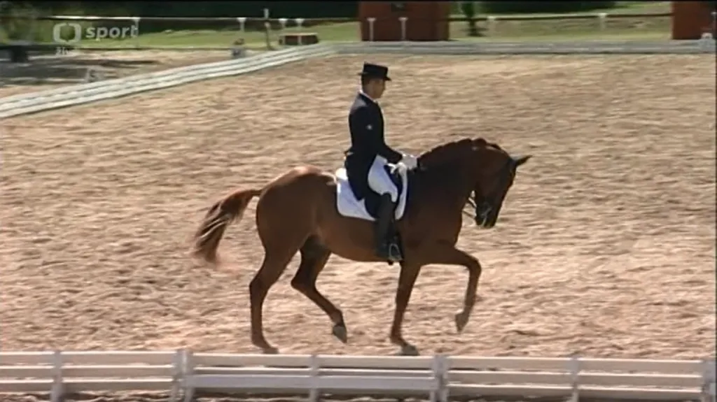 Brněnský světový pohár v drezuře patři Francouzi Ayachemu