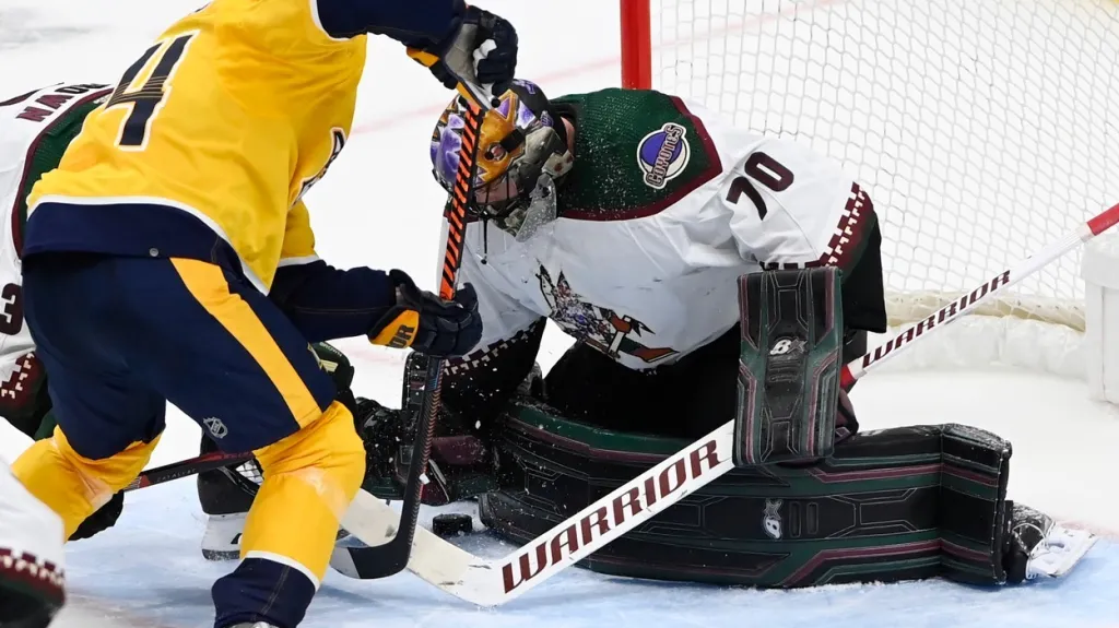 Karel Vejmelka zasahuje proti Nashvillu