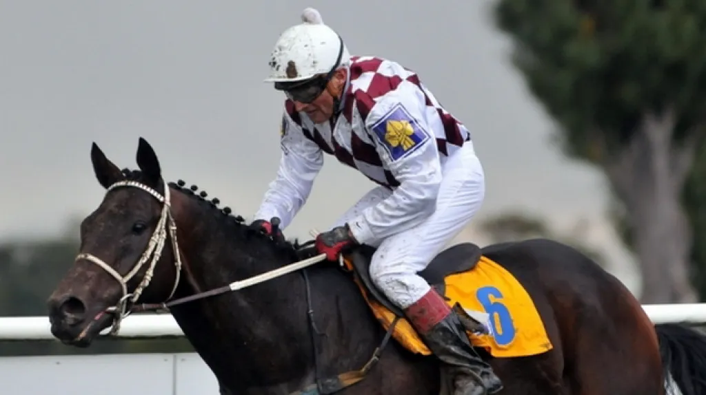 Tiumen s žokejem Váňou 