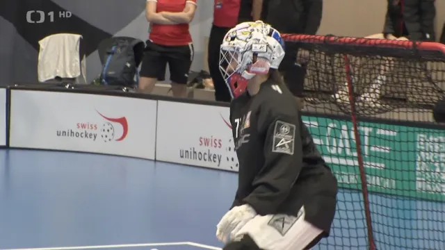 Sestřih a ohlas utkání Česko – Švédsko