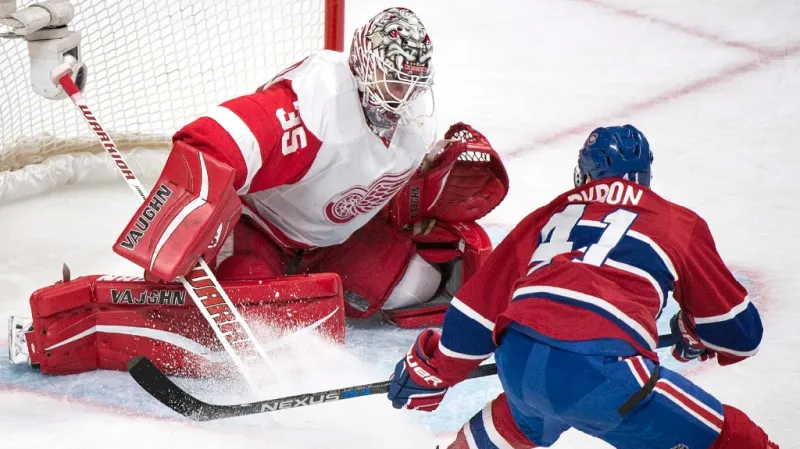 Brankář Petr Mrázek v akci