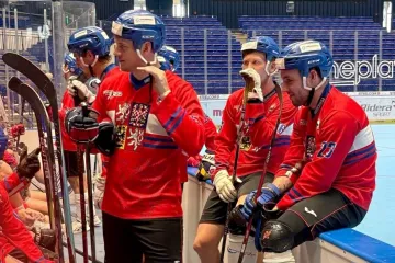Hokejbalová reprezentace