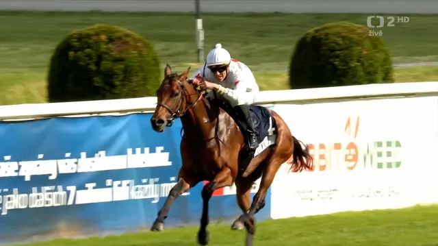 Dostih Velké jarní ceny s ohlasy