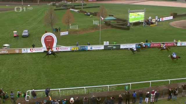 Podzimní cenu ovládl Impas