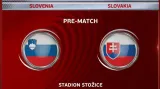Sestřih utkání Slovinsko - Slovensko