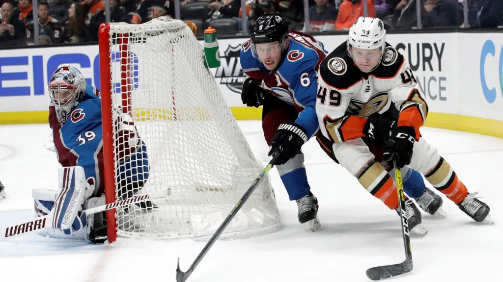 Pavel Francouz v utkání s Anaheimem