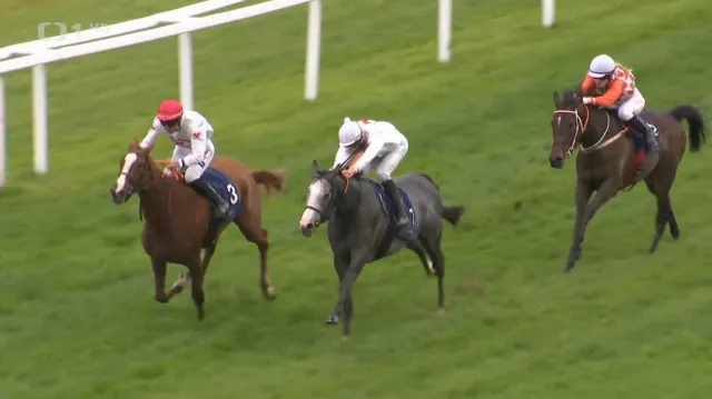 Velkou červnovou cenu vyhrála Parisi Lady