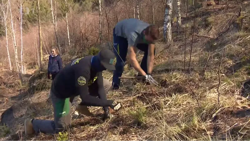 Enduristé Polák a Markvart pomáhají se sázením stromů
