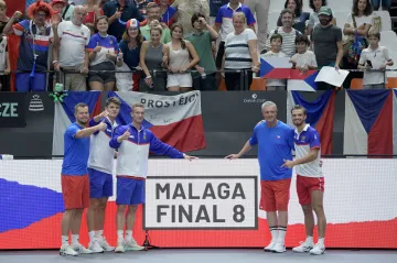 Český daviscupový tým