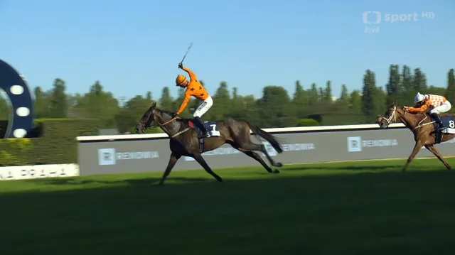 Velkou cenu turfu vyhrál American Fly