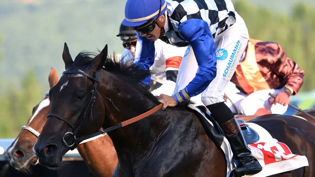 Gontchar v sedle s Bauyržanem Murzabajevem