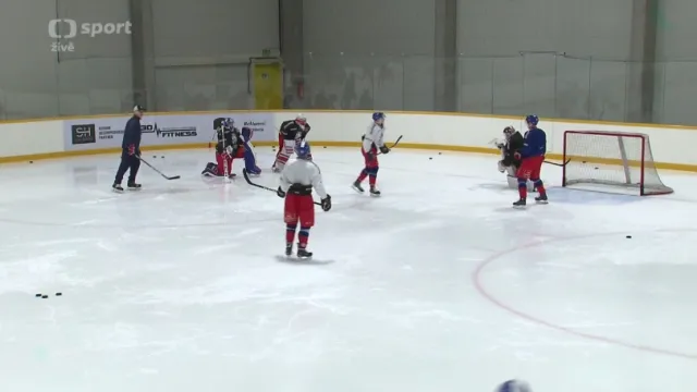 Reprezentace trénovala už bez Gulaše, tým doplnili tři útočníci